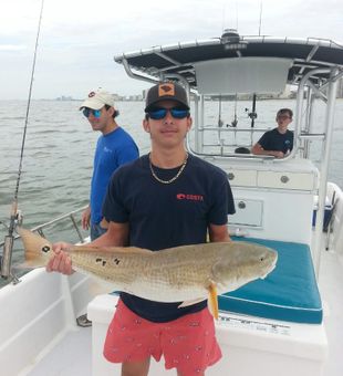 Premier Fishing Redfish in North Myrtle Beach